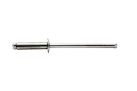 Stainless Steel Rivets